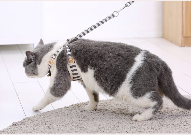 猫咪牵引绳溜猫链子绳子小猫防挣脱专用拴猫绳背心式外出遛猫神器