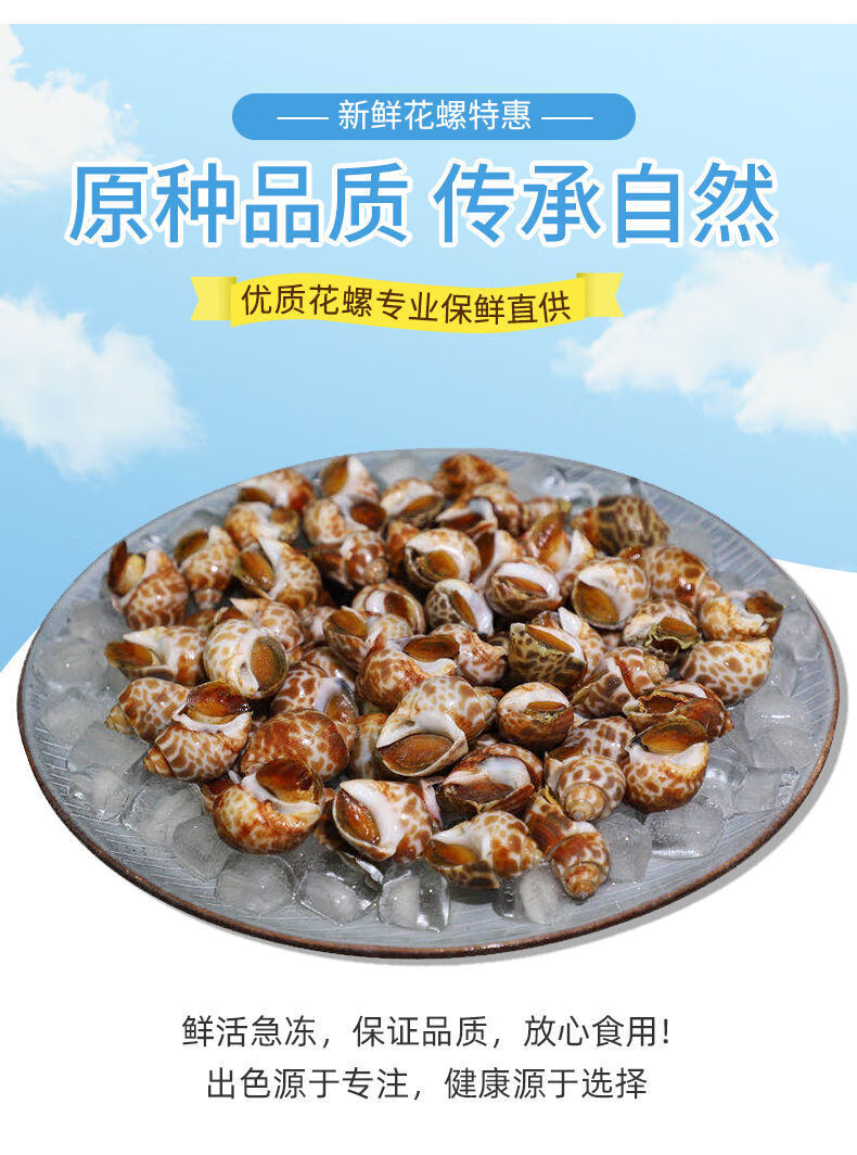 新鲜活冻花螺海鲜海螺香螺东风螺贝类花罗海鲜半斤装不够吃芥末酱油包