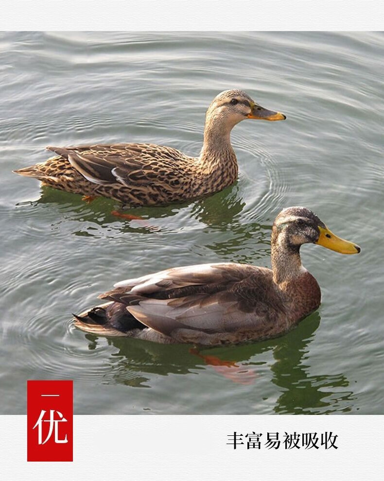 现杀现发农村活体鸭子鸭肉新鲜土鸭白条鸭麻鸭鸭边腿鸭胗姒桀鸭边腿2