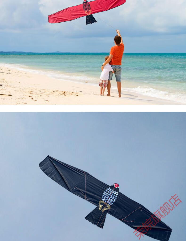 瑾宇风筝 新款544软伞布老鹰风筝碳杆抗风板鹰风筝大人专用滑板鹰风筝