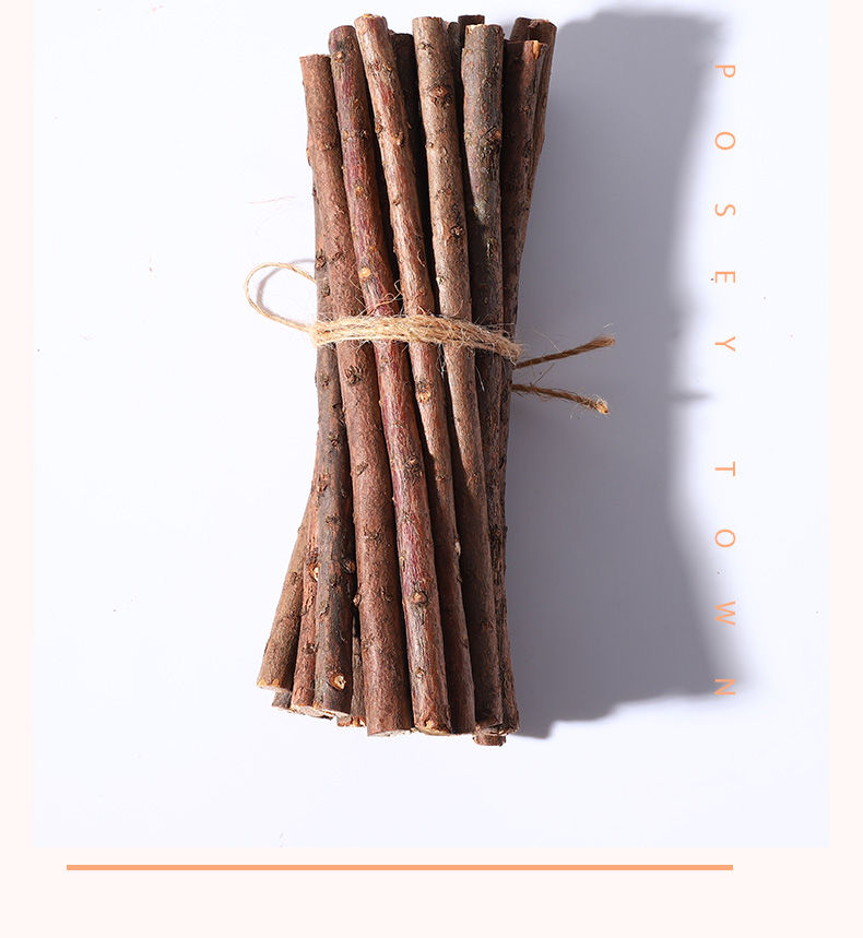 yan树枝装饰干树枝木段小道具木棍幼儿园手工diy小树枝背景枯枝材料