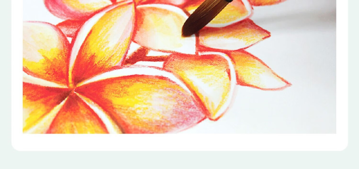 amos进口固体水彩水粉画颜料套装初学者24色小学生用儿童可水洗幼儿园