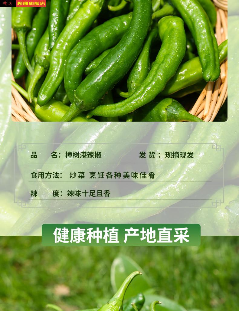 正宗樟树港富硒辣椒新鲜现摘虎皮纯手工自制卜辣椒农家白辣椒湘菜1斤