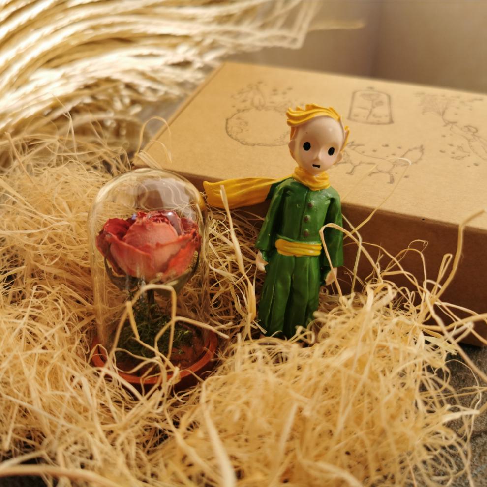 小米mi生态同款小王子的玫瑰小王子的玫瑰花玻璃罩迷你纯手作创意系列