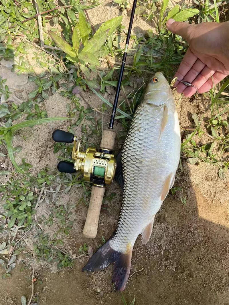 路亚助投器 溪流微物免助投器旋转路亚亮片铅坠改装假饵马口罗非白条