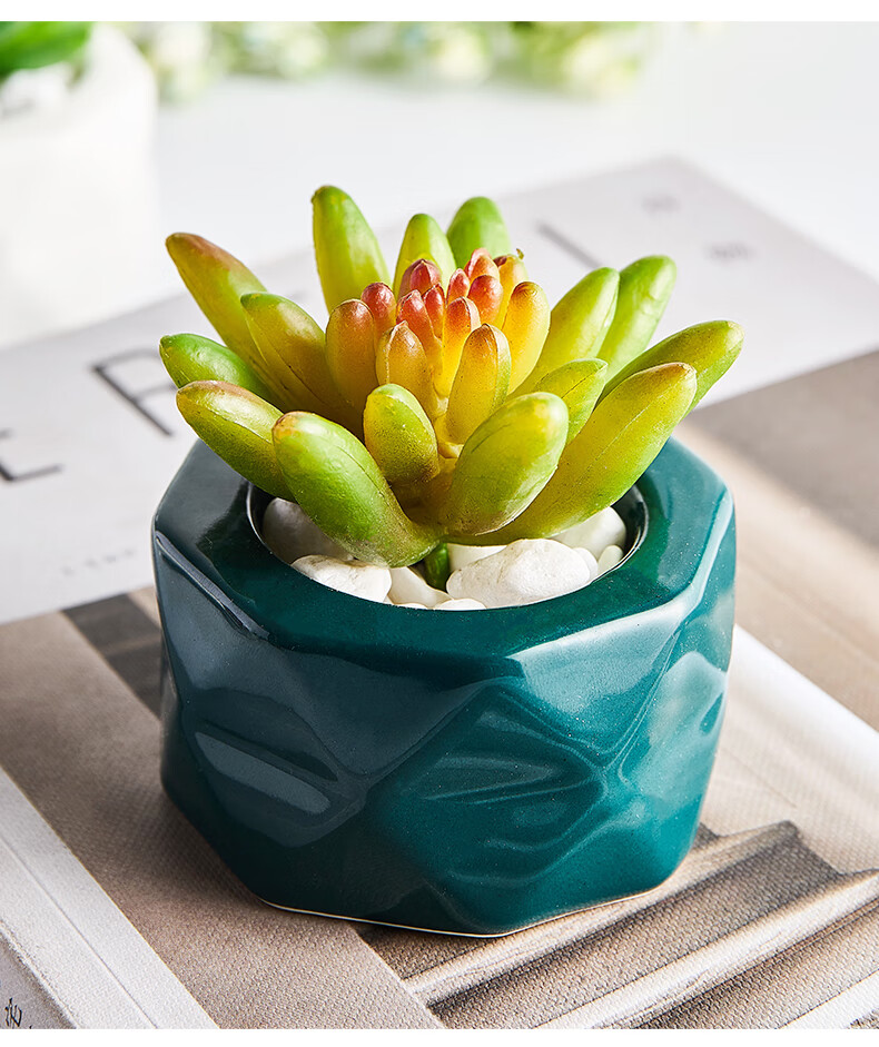 北欧仿真多肉植物小盆栽办公室假绿植网红装饰品室内桌面迷你摆件