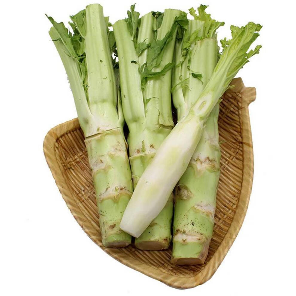 棒菜种子四川种籽笋子芥秋季芥菜头籽种棒蔬菜菜种孑菜籽花禾之元 渝