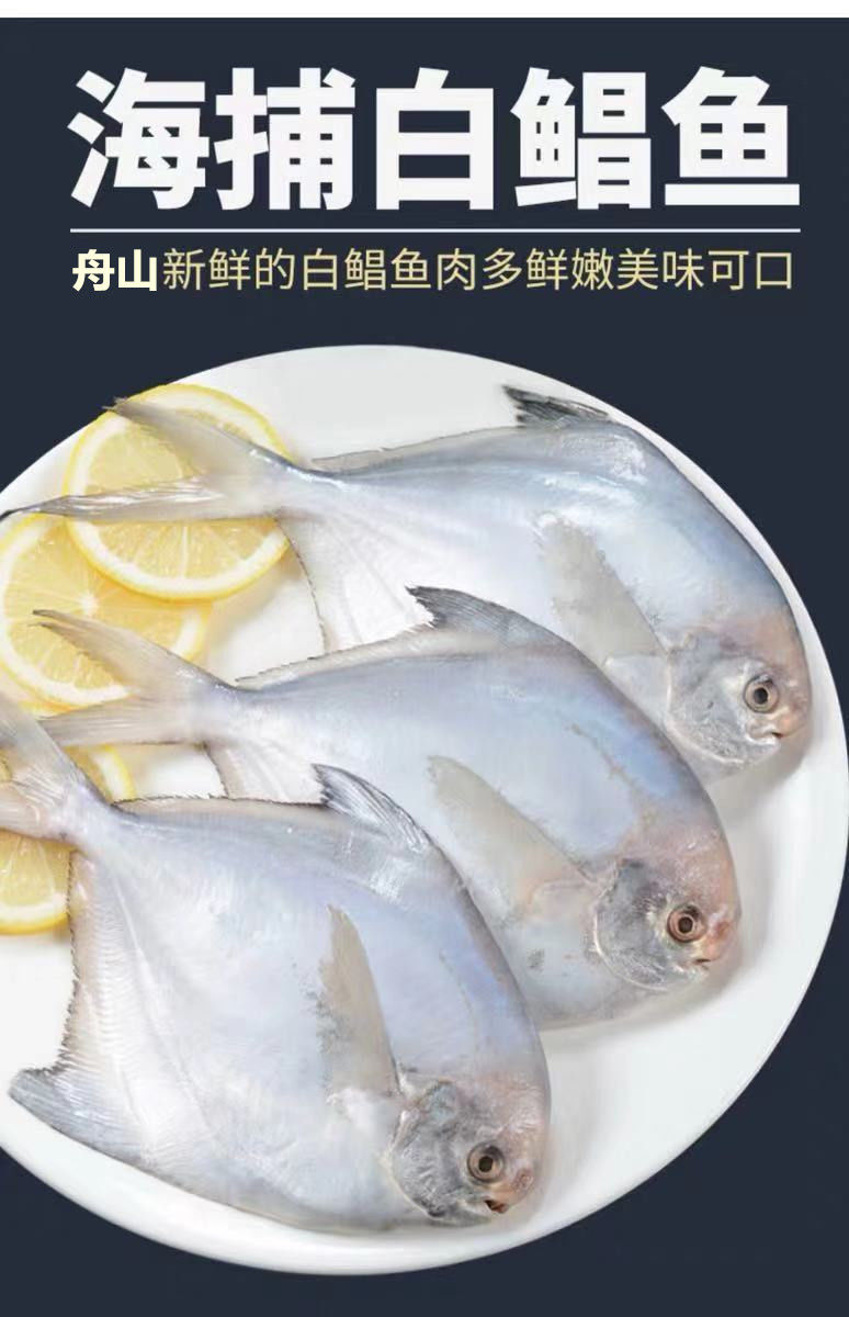 鱼平鱼新鲜白鲳鱼冷冻海鲜海鱼冻品必购45条斤6斤品质保证保鲜到家