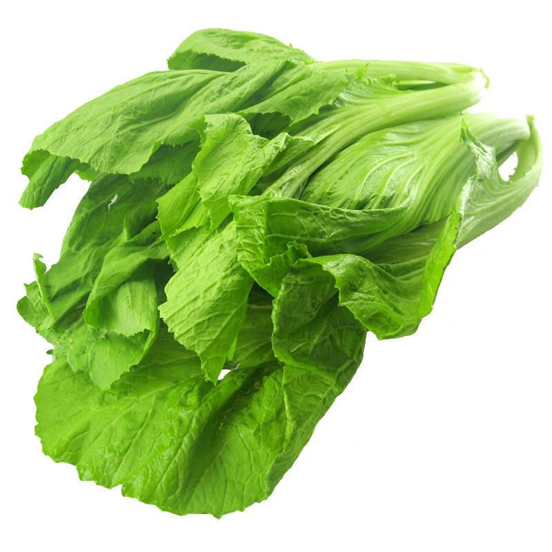 贵州青菜新鲜包心芥菜现摘宽邦大叶芥菜四季蔬菜泡酸菜原料大苦菜 3斤