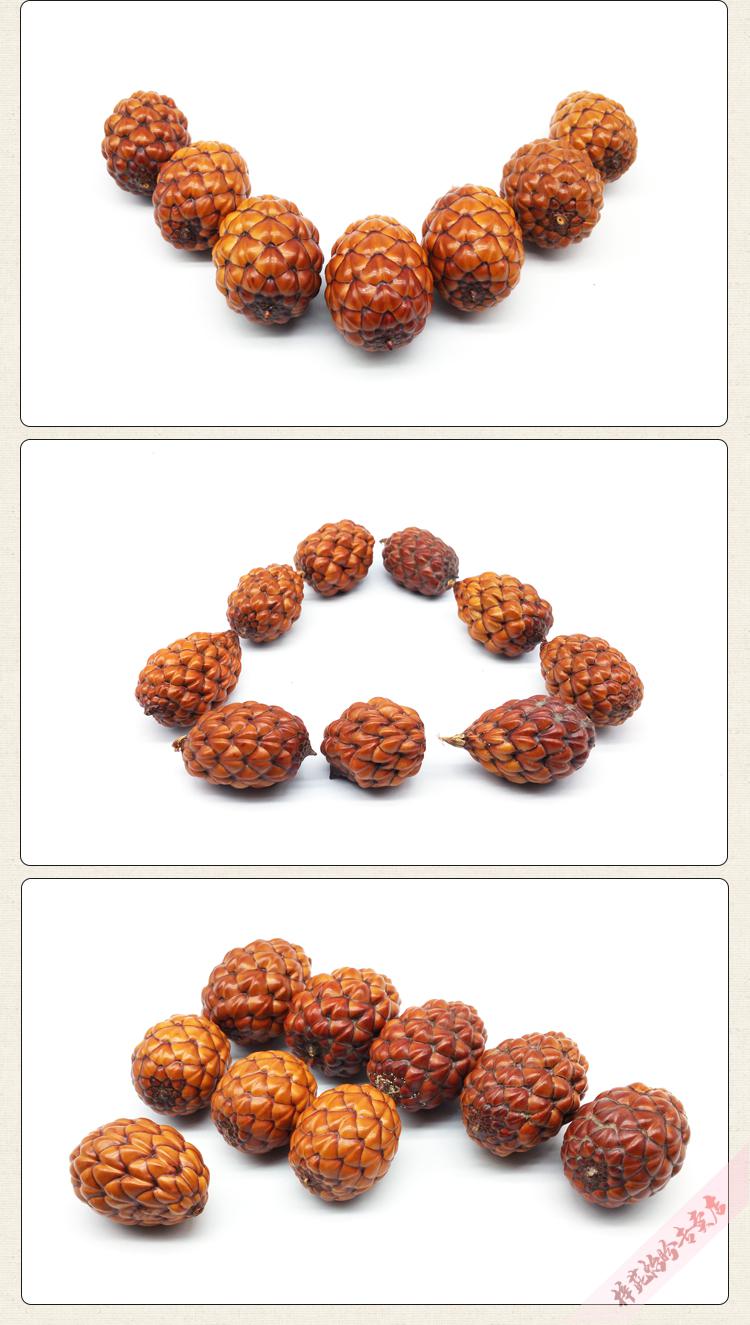 铁树籽蒙氏石轩坊铁树子铁树籽文玩菩提子原籽手串手把件把玩一对