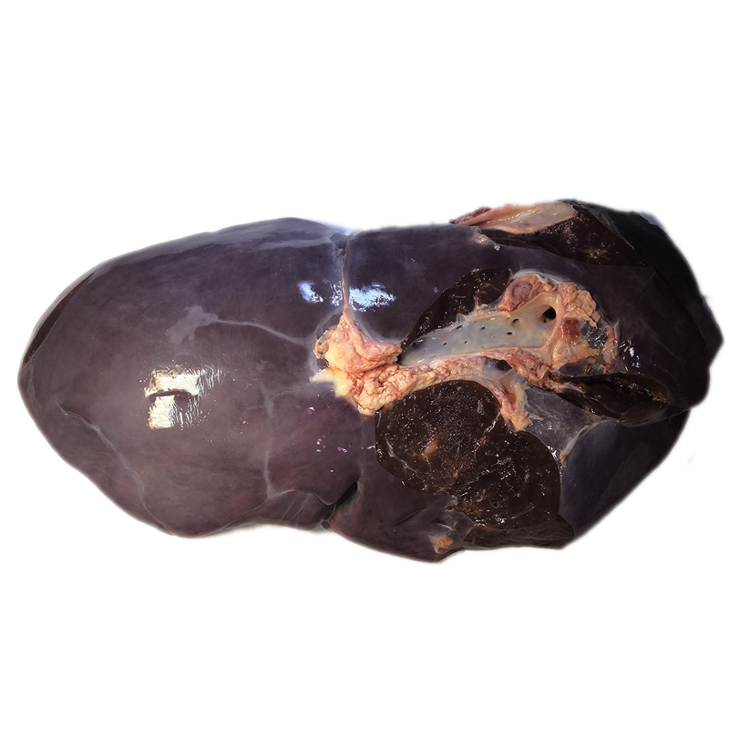 新鲜生牛肝冷冻发货烧烤用 7斤【图片 价格 品牌 报价】-京东