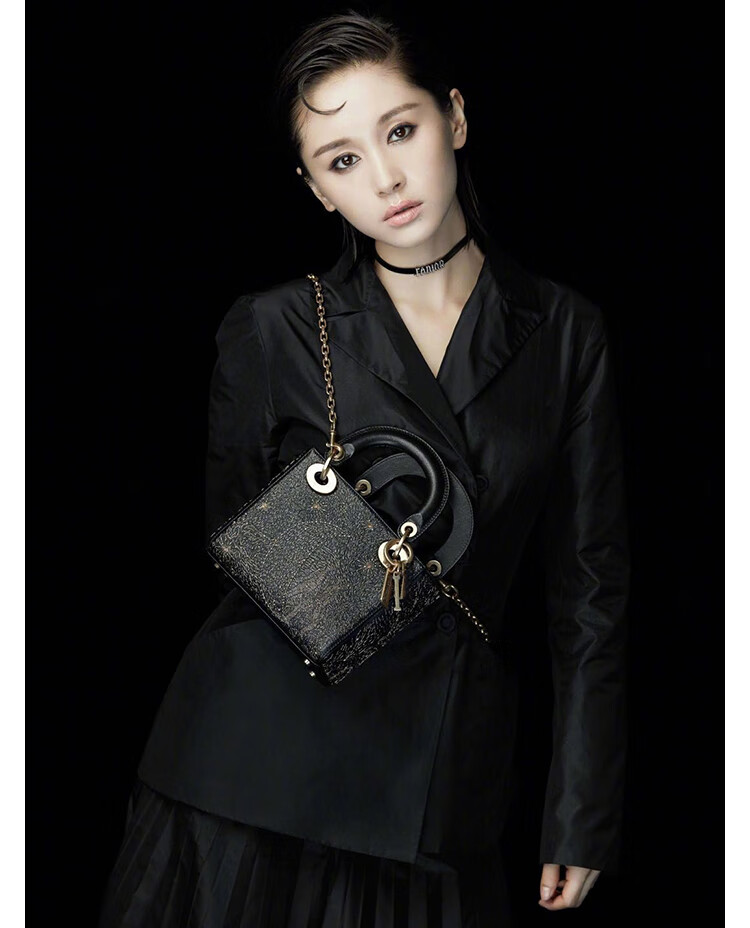covinkongck轻奢包包法国小众设计戴妃包春夏季新款高级感个性精巧