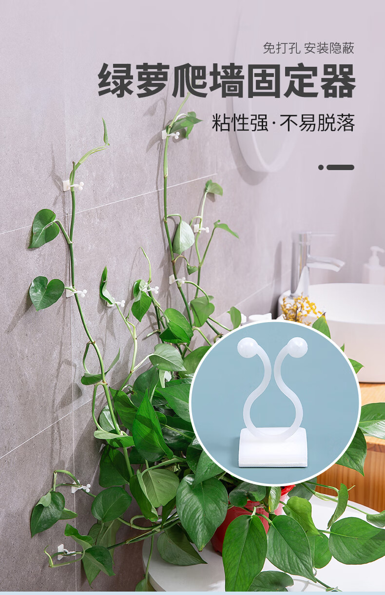 材质:pvc(聚氯乙烯)货号:绿萝爬墙固定器商品毛重:100.