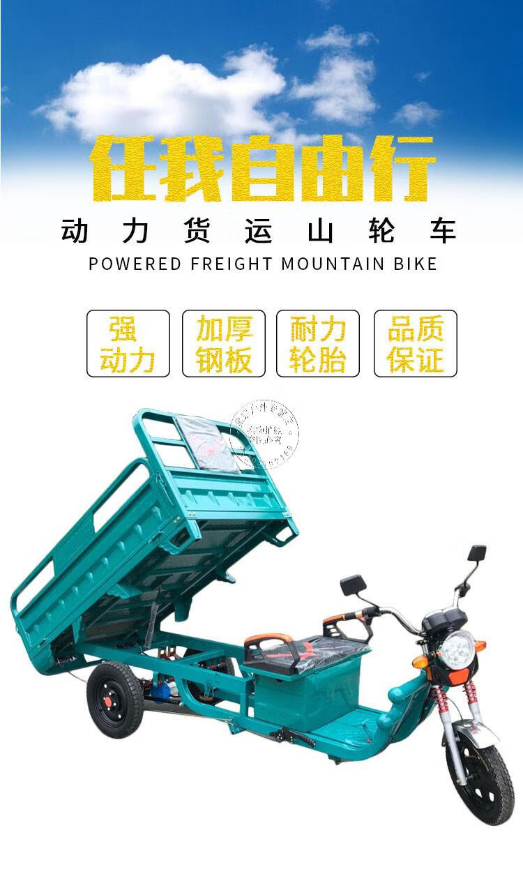 电动三轮车载重王拉货成人拉货三轮车快递车新款家用电瓶车农用车20x