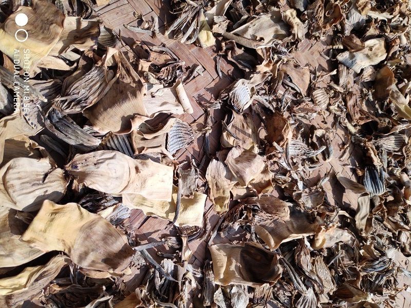 芭蕉花干云南西双版纳干芭蕉花芭蕉衣 干野生芭蕉衣500g【图片 价格