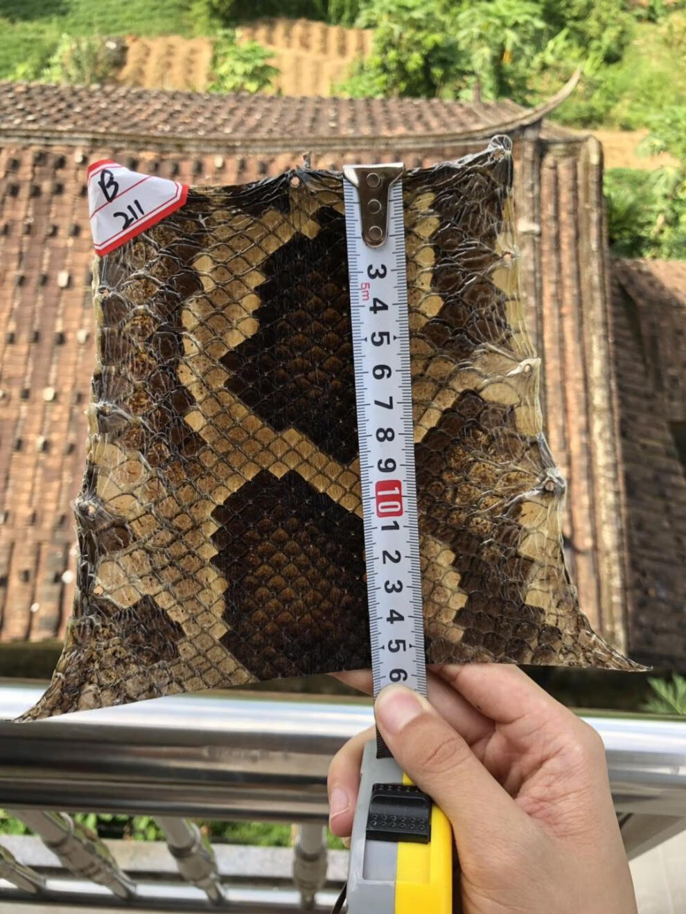 新店特惠蟒皮二胡皮中胡高胡尾部尾巴根二弦用皮单块蒙皮全国 b系中间