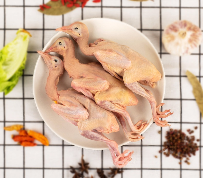 乳鸽生鲜鸽子农家喂养土鸽子汤活体乳鸽子肉新鲜现杀850g