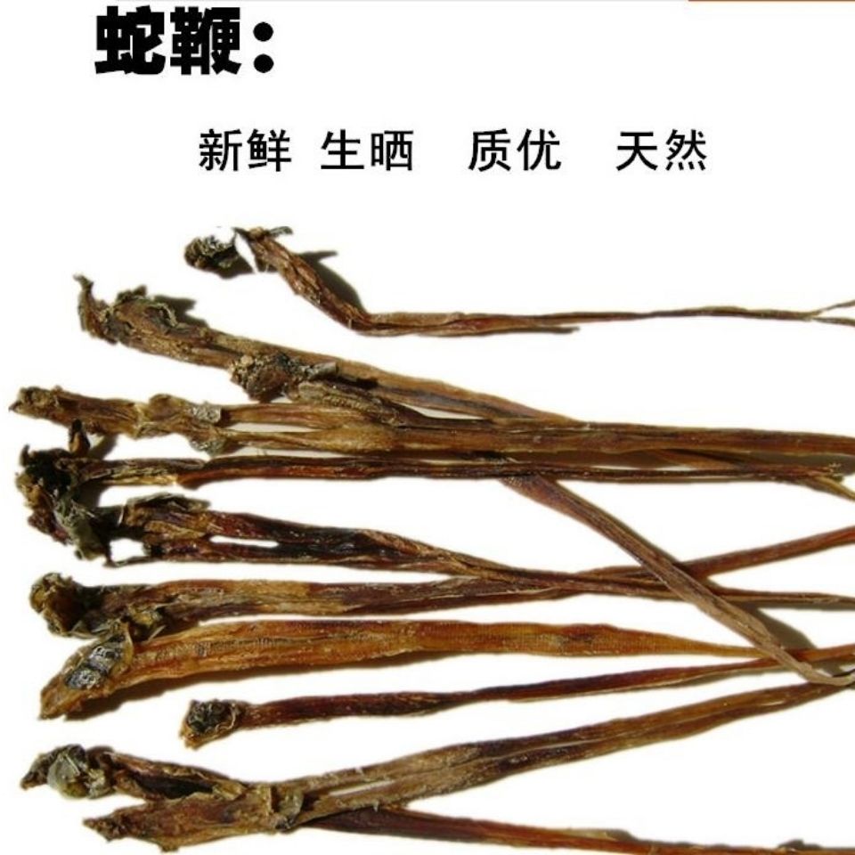 蛇鞭酒男用蛇鞭子 泡酒料滋补养身 蛇鞭干货 干蛇鞭50克 50克【图片