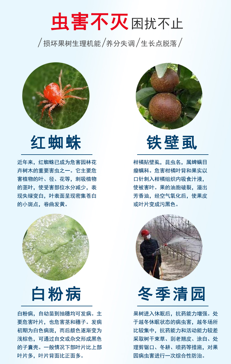 石硫合剂果树剂果树腐烂病介壳虫白粉病石硫合刘果园清园水剂 1kg