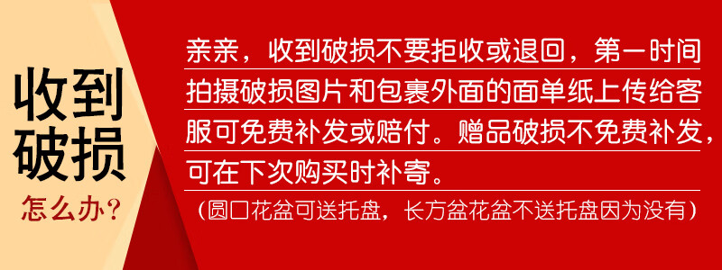 c33e8d9f33b95198.jpg