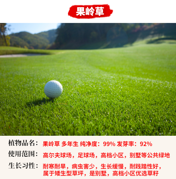 芗苒矮生草坪草籽护坡固土狗牙根种子四季常青草籽多年生绿化草坪