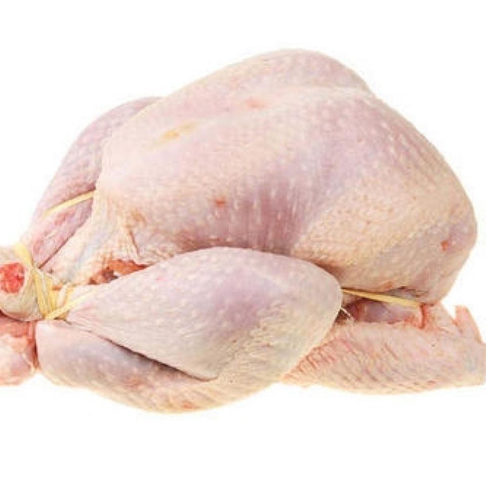 火鸡火鸡肉414斤新鲜整只火鸡感恩圣诞烤火鸡7斤左右只