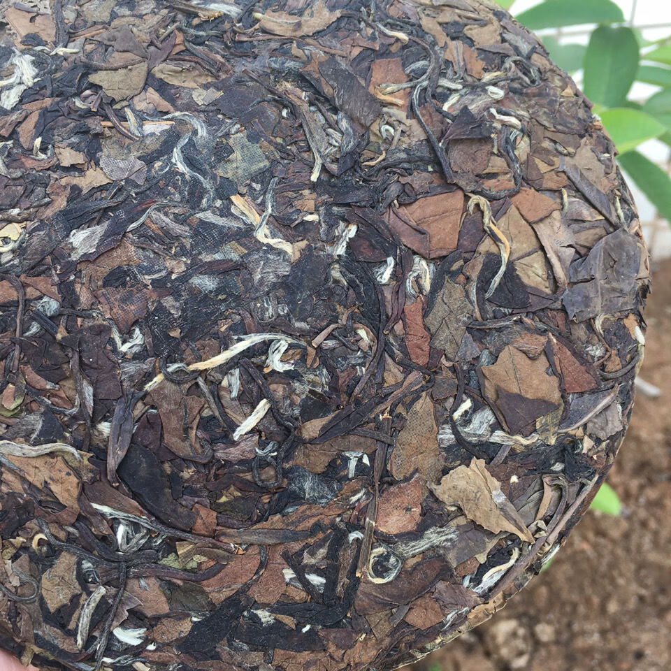 福鼑白茶 陈年古树老白茶饼350g高山寿眉贡眉白茶茶叶醇香回甘苏伯