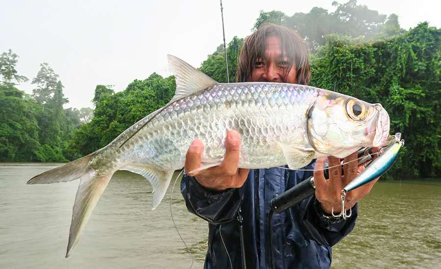 fishman bc4 系列多节路亚竿 bc45.10h【图片 价格 品牌 报价】-京东