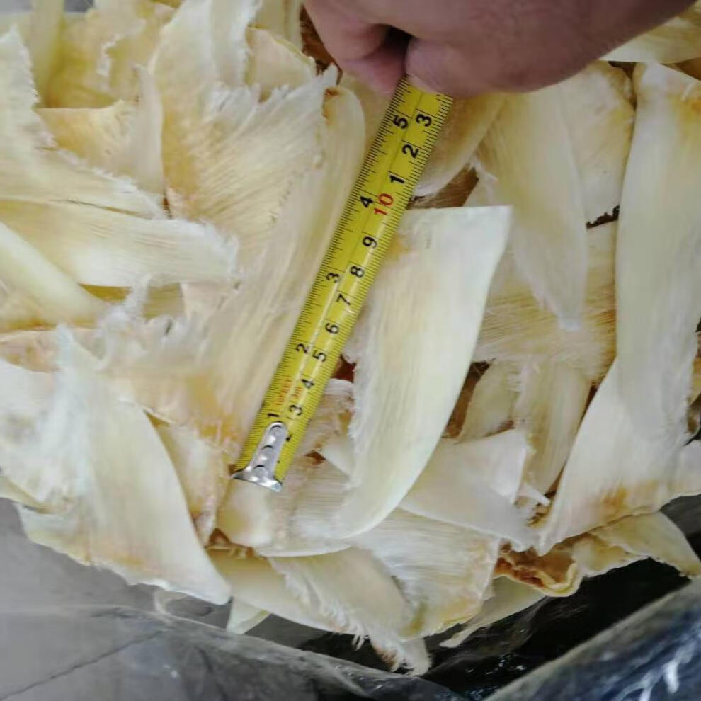 金勾翅 3-10寸 金勾翅足干 小金钩 大金钩 五羊钩翅 青钩翅 各种钩翅