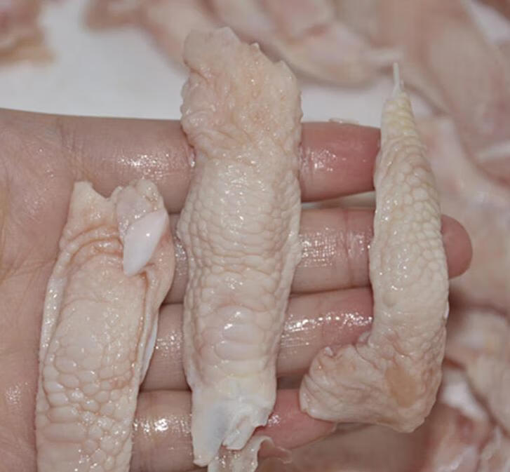 新鲜鸡脚筋纯干4斤鸡软骨鸡脆骨鸡脆筋烧烤串串拐脚筋带冰款500g昌盛