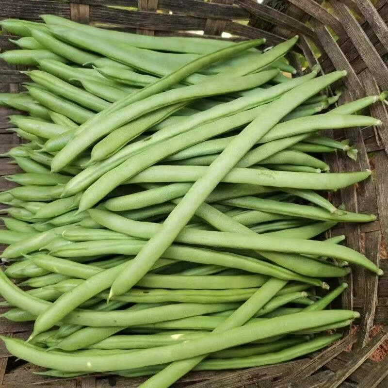 云南新鲜无筋豆四季豆整箱无丝豆角新鲜蔬菜 精品装(泡沫箱) 2斤