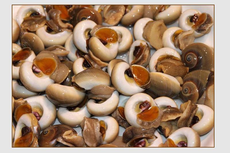 坏了包赔鲜活无沙猫眼螺白玉螺香螺肚脐螺翡翠螺贝类