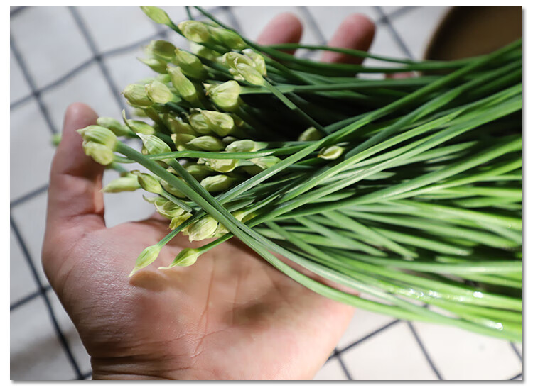 源外园新鲜韭菜苔韭菜杆韭花新鲜蔬菜农家自种500g*2【图片 价格 品牌
