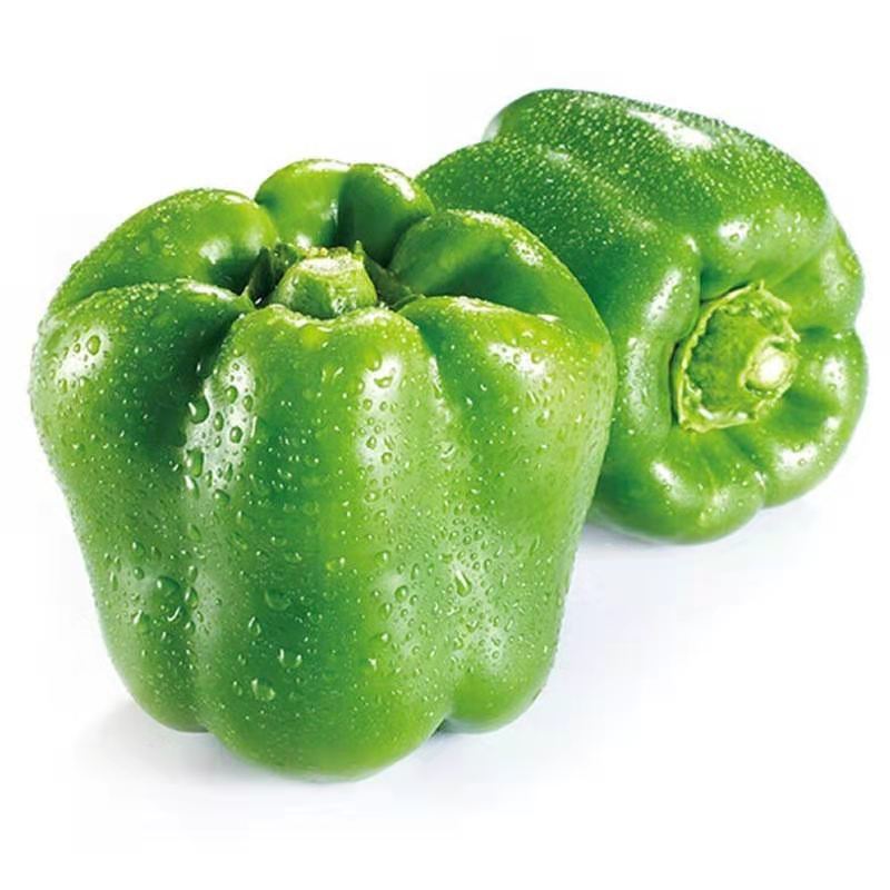 【精选s级】农家自种圆椒新鲜蔬菜圆辣椒灯笼椒甜椒太空椒不辣3/5/10