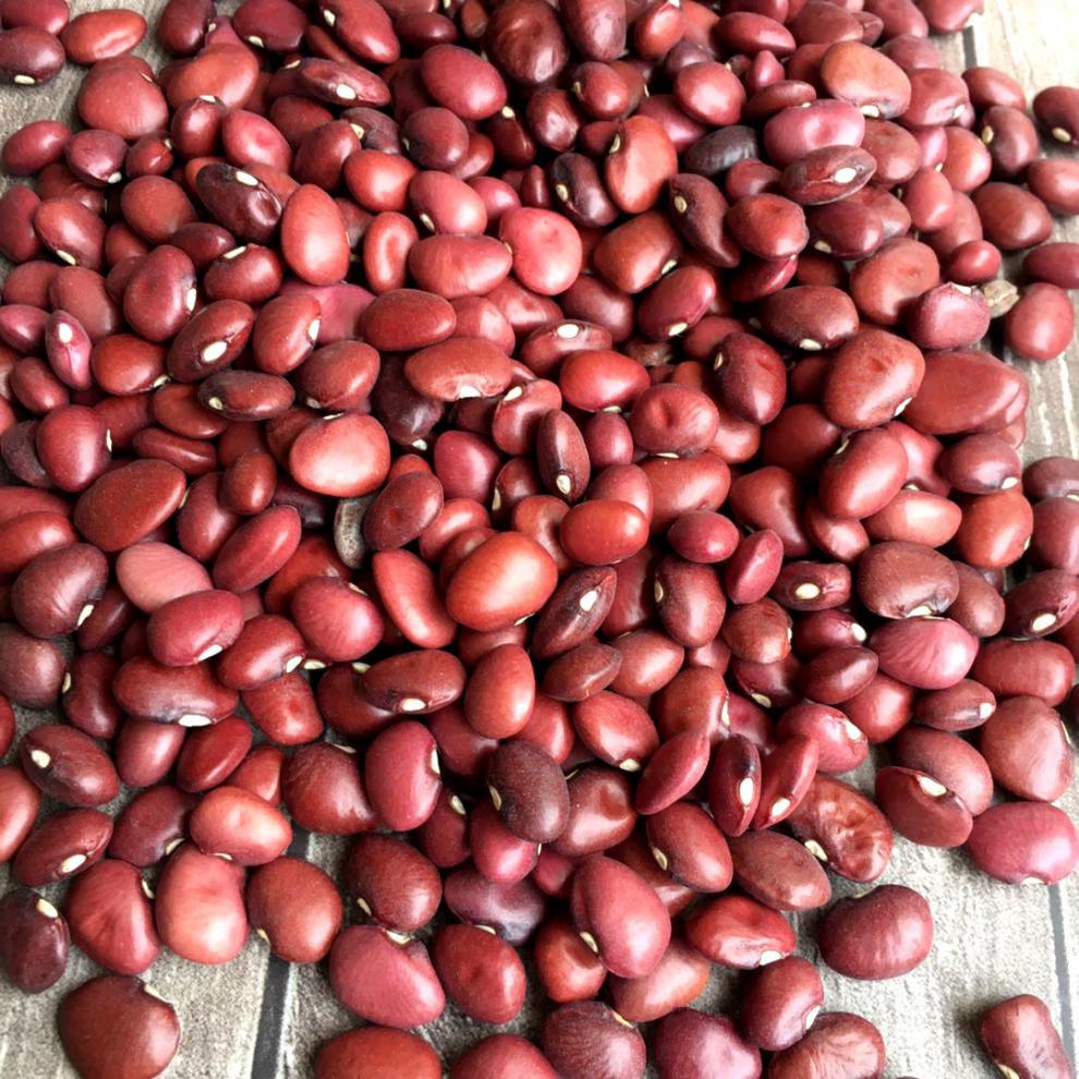 食上猴 精选小扁红豆5斤红腰豆扁红芸豆250克新红扁豆小扁豆红豆豆类
