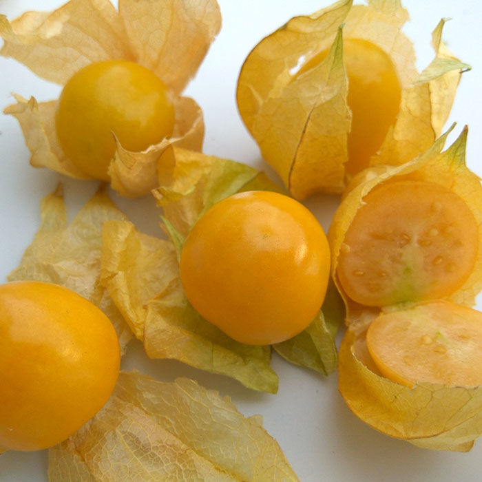 【果园现摘】东北姑娘果应当季新鲜水果姑娘果中大果特产5斤