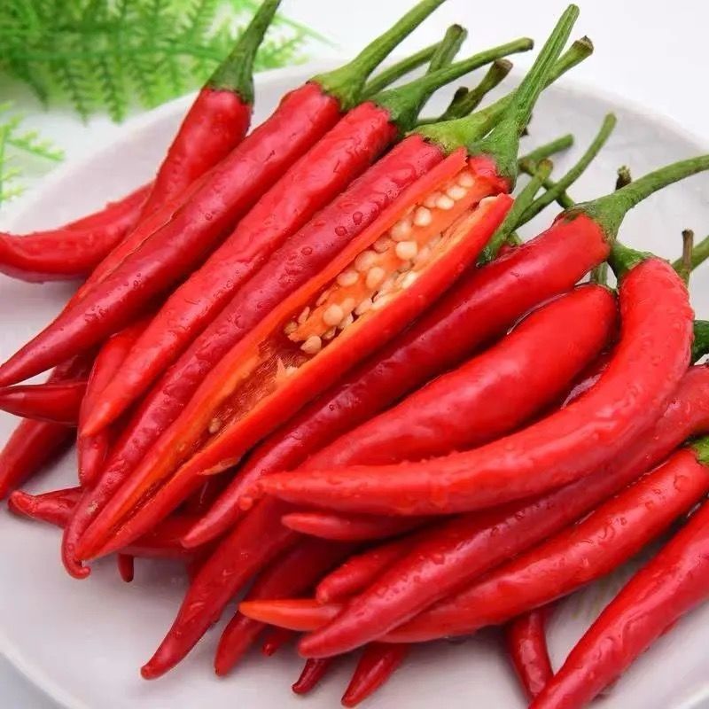 贵州新鲜红二荆条红美人椒红线椒青椒红海椒农家自种做剁椒糟辣椒5斤