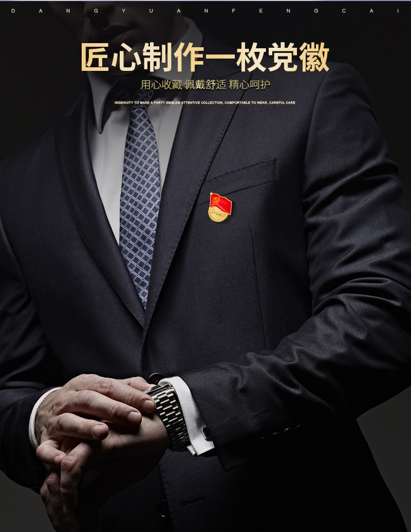 天顺党徽标准型磁铁式胸针党员胸章党徽监制2019新版为人民服务磁扣