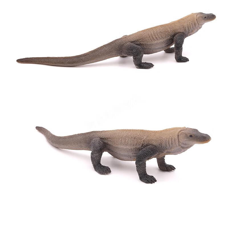 2022升级款实心仿真科莫多巨蜥模型动物玩具爬行动物科莫多龙 科莫多