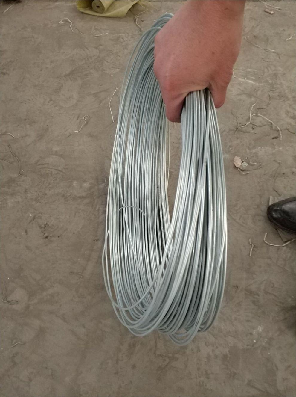 镀锌铁丝扎丝软绑丝工地建筑手工挂窗帘晾衣绳葡萄架细铁丝线 8号一斤