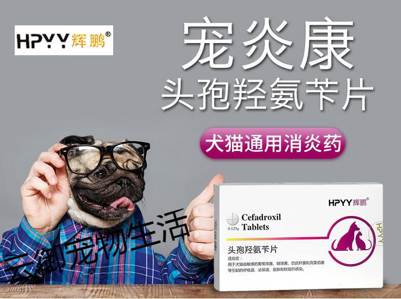 lism辉鹏宠炎康片猫癣药宠物狗狗真菌感染口服用药猫咪皮肤病猫藓虫