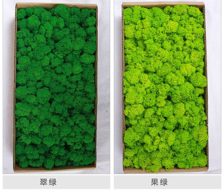仿真永生苔藓青苔藓微景观装饰盆栽绿化植被假植物无杂质干花材料宝石