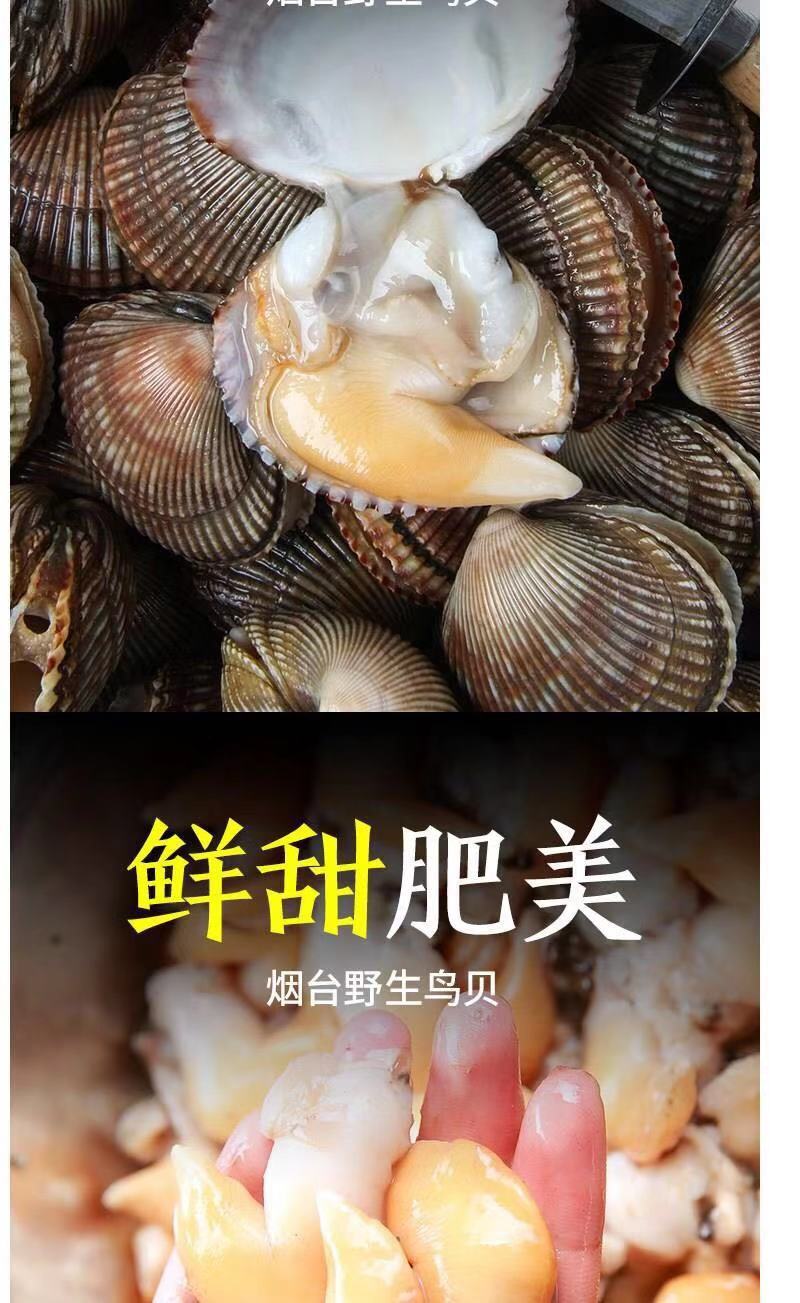 生鲜鸟贝肉现剥黄鸟贝肉刺身鸟贝肉鲜活海鲜 鸟贝当天现剥2斤装【图片