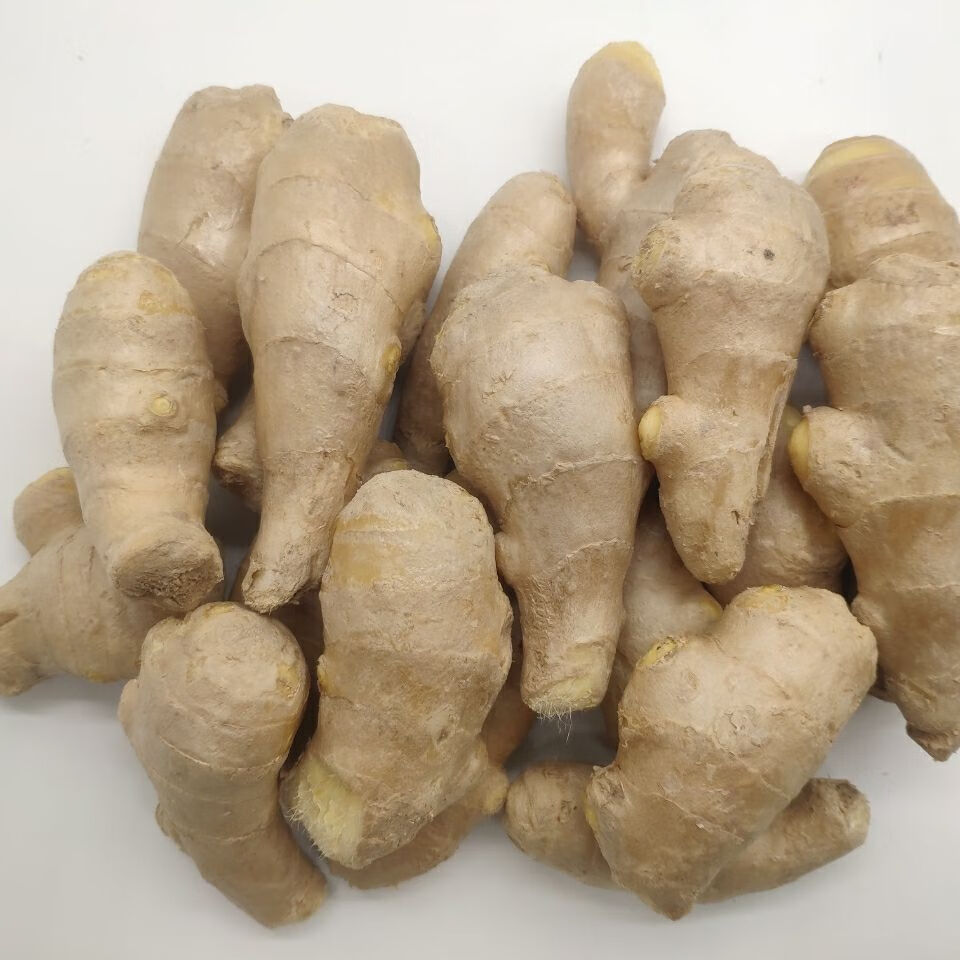 520礼物送女友山东特产生姜新鲜姜风块大姜姜汤姜月