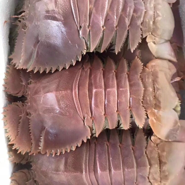 琵琶虾 新鲜九齿扇虾 虾姑排毛缘扇虾东方大虾扁 6-8个1斤 4斤装