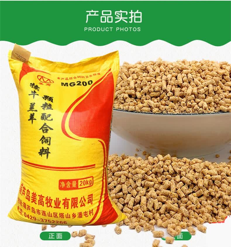 可狄(kedi)羔羊饲料小羊羔开口料羔羊颗粒羊饲料 100斤羔羊精补料饲料