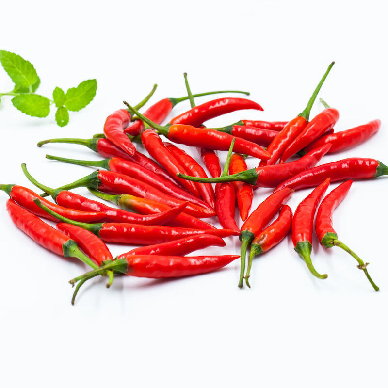 农家自种现摘精选朝天椒新鲜小米椒红辣椒特辣剁椒小尖椒250g精选小米