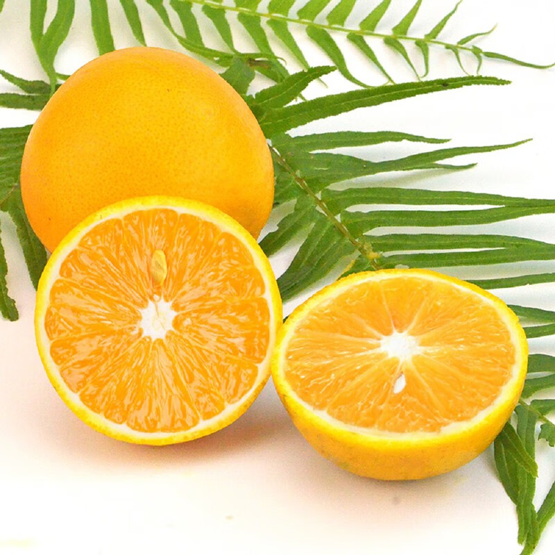 七公主果园 新鲜夏橙 10斤