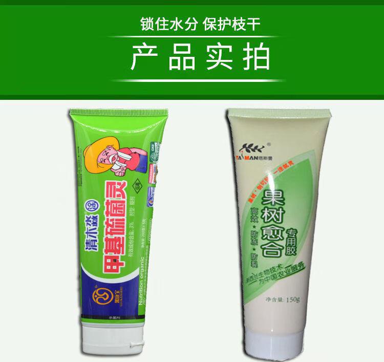 倾晨甲基硫菌灵果树树木伤口愈合剂修剪嫁接涂抹剂防腐烂病剂树木花卉