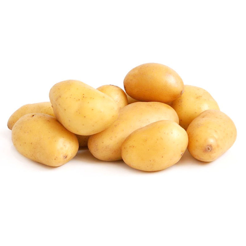 云南黄皮白心土豆新鲜当季马铃薯白心5斤大果2022年新鲜土豆